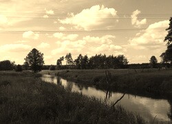 Szary + Sepia