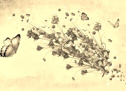 Szary + Sepia