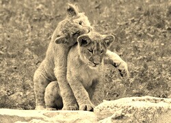 Sepia
