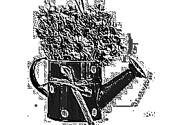 Skamielina