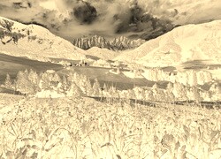 Sepia + Negatyw