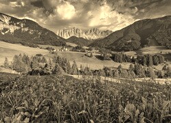 Szary + Sepia