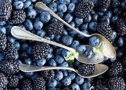 Oryginalny obrazek