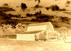 Sepia + Negatyw