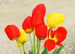 Oryginalny obrazek