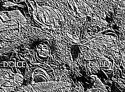 Skamielina