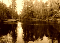 Sepia