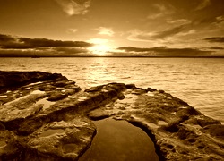 Sepia