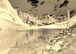 Sepia + Negatyw