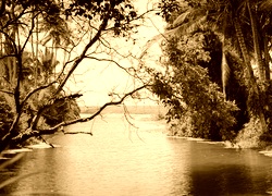 Sepia