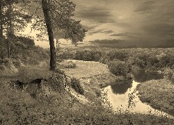 Szary + Sepia