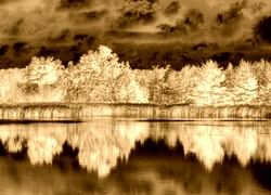 Sepia + Negatyw