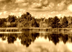Sepia