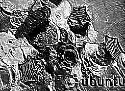 Skamielina
