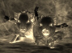 Sepia + Negatyw