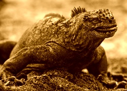 Sepia