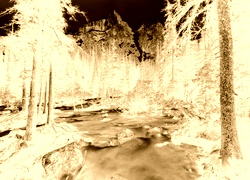 Sepia + Negatyw