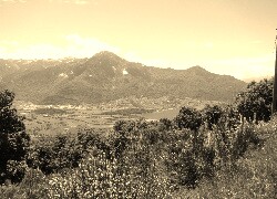 Sepia