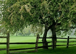 Oryginalny obrazek