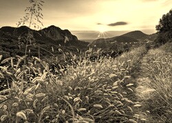 Sepia