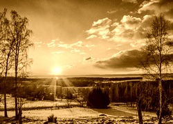 Sepia