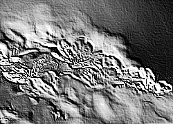 Skamielina