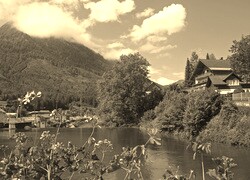 Szary + Sepia