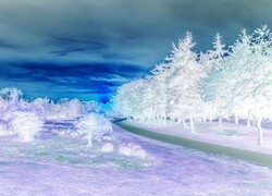 Negatyw
