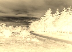 Sepia + Negatyw