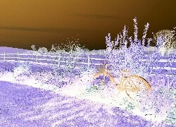 Negatyw