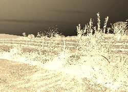 Sepia + Negatyw