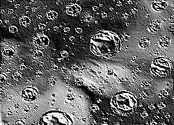 Skamielina