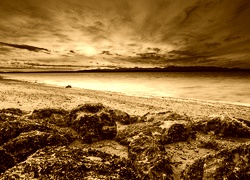 Sepia