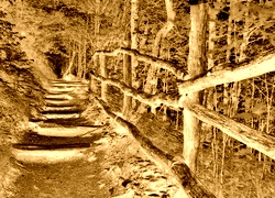 Sepia + Negatyw