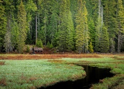 Oryginalny obrazek