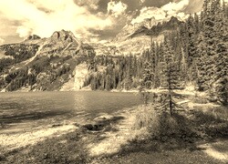 Szary + Sepia