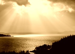 Sepia