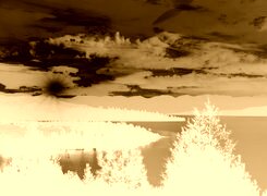 Sepia + Negatyw
