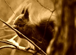 Sepia