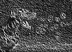 Skamielina