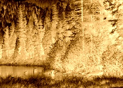 Sepia + Negatyw