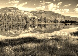 Sepia