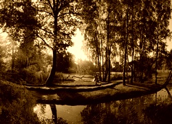 Sepia