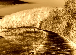Sepia + Negatyw
