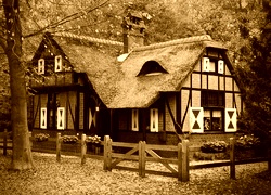 Sepia
