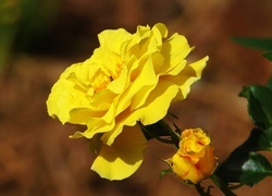 Oryginalny obrazek