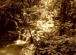 Sepia