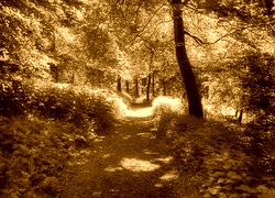 Sepia