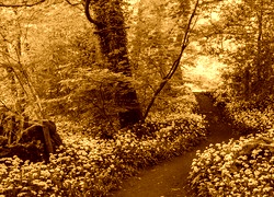 Sepia