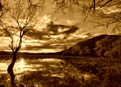 Sepia